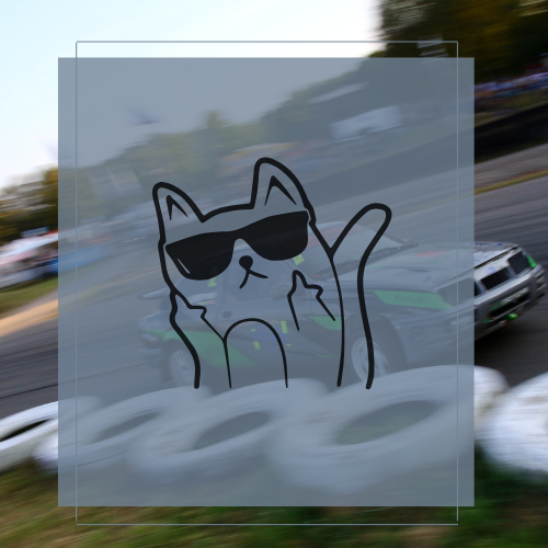 Sticker  Fck u cat
