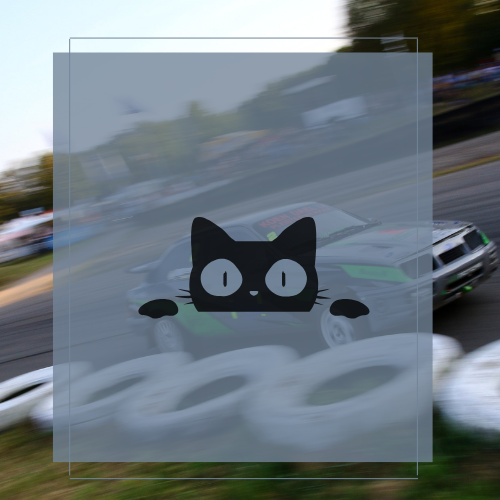 Sticker Cat