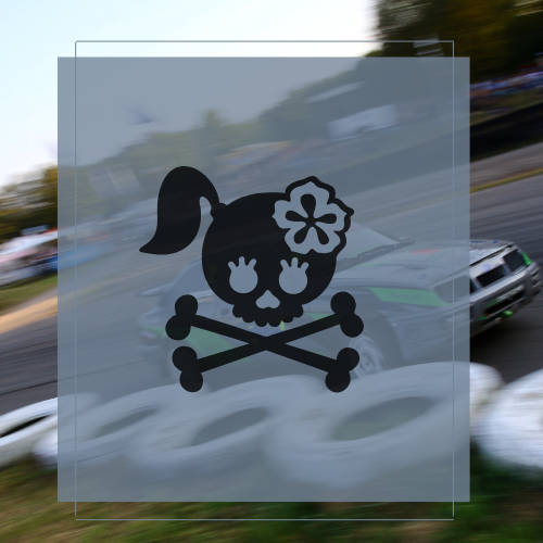Sticker Lady skull